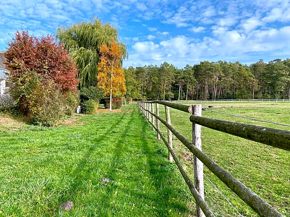 Friesenhof Hotel-Restaurant-Reitanlage