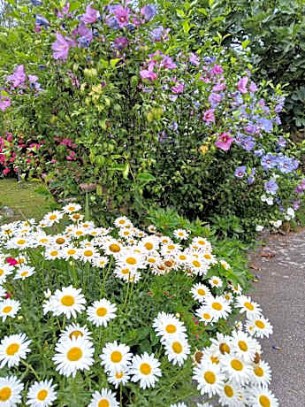 Picos de Europa Suites and Rooms