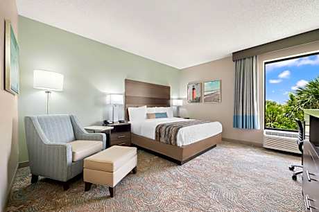 King Room - Non-Smoking