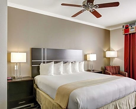 1 King Bed, Suite, Nonsmoking