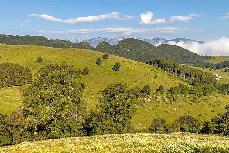 Locanda Alpina a 1250 mt