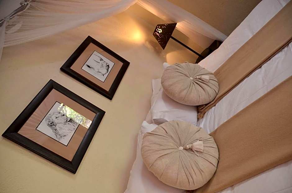 Moholoholo Forest Camp