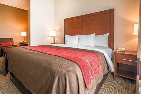 1 King Bed, Suite, Nonsmoking