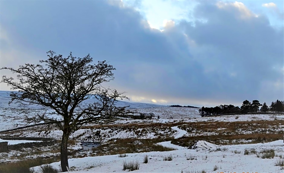 The Garsdale Bed & Breakfast - Goats and Oats at Garsdale