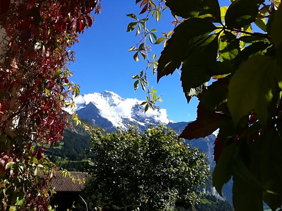 Hotel Bellevue-Wengen - Best view in town!