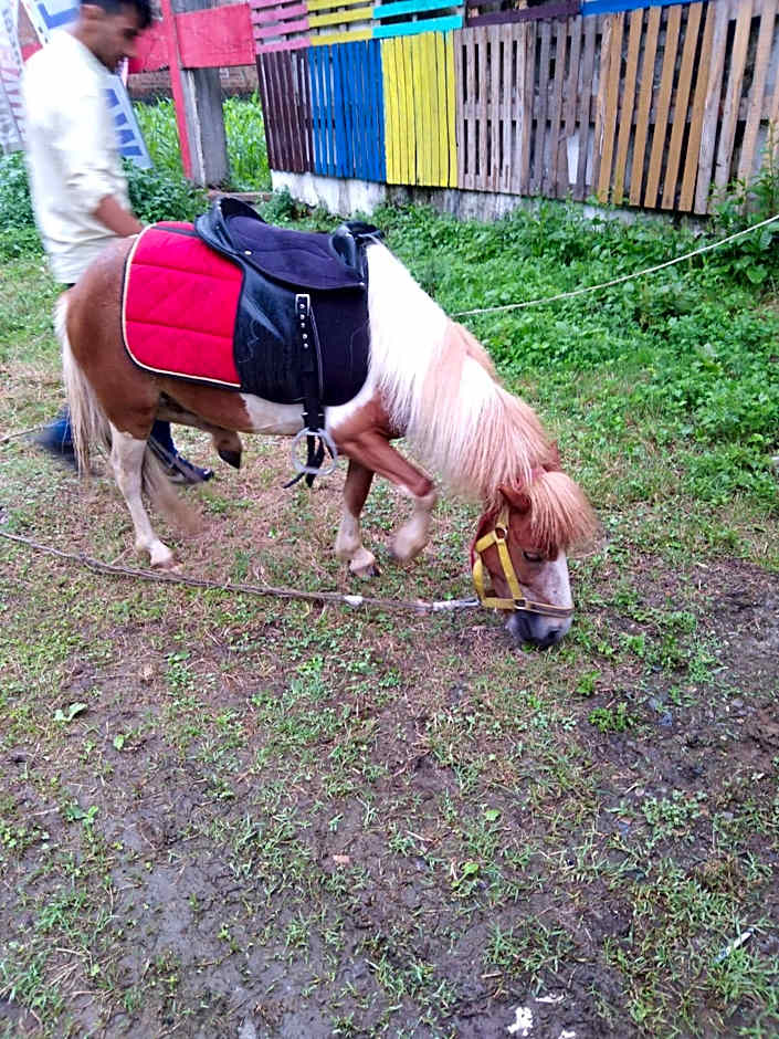 Zisto Apart Otel & Bungalows