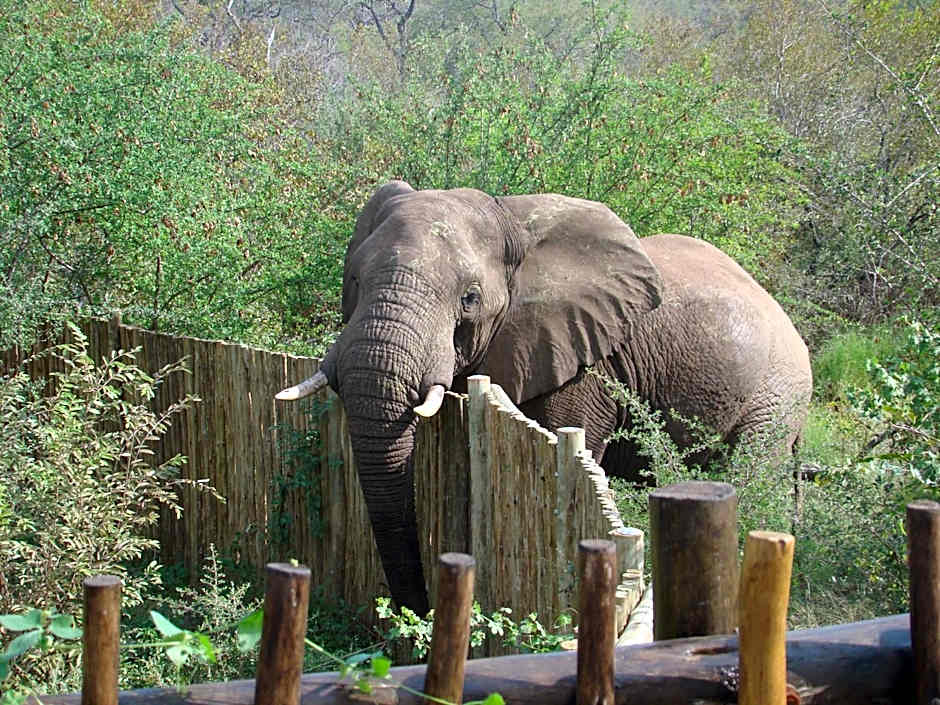 Muweti Bush Lodge