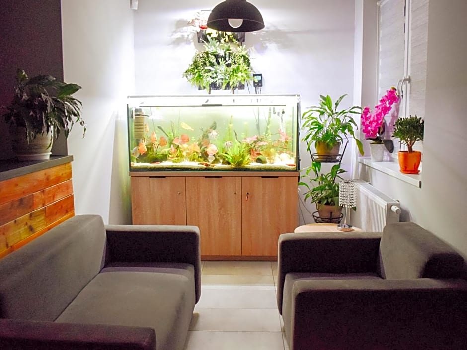 Bielik - Pokoje Gościnne