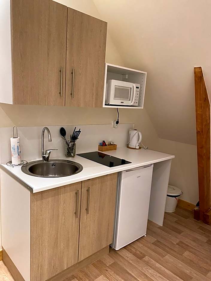 Le Rocher Appart Hôtel