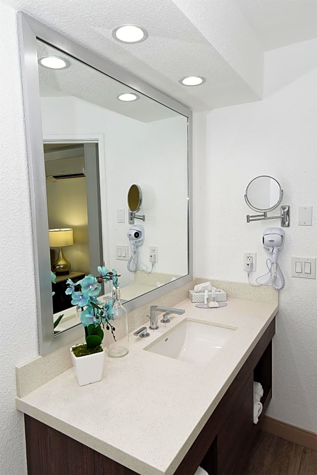Serene Vegas Boutique Hotel Las Vegas