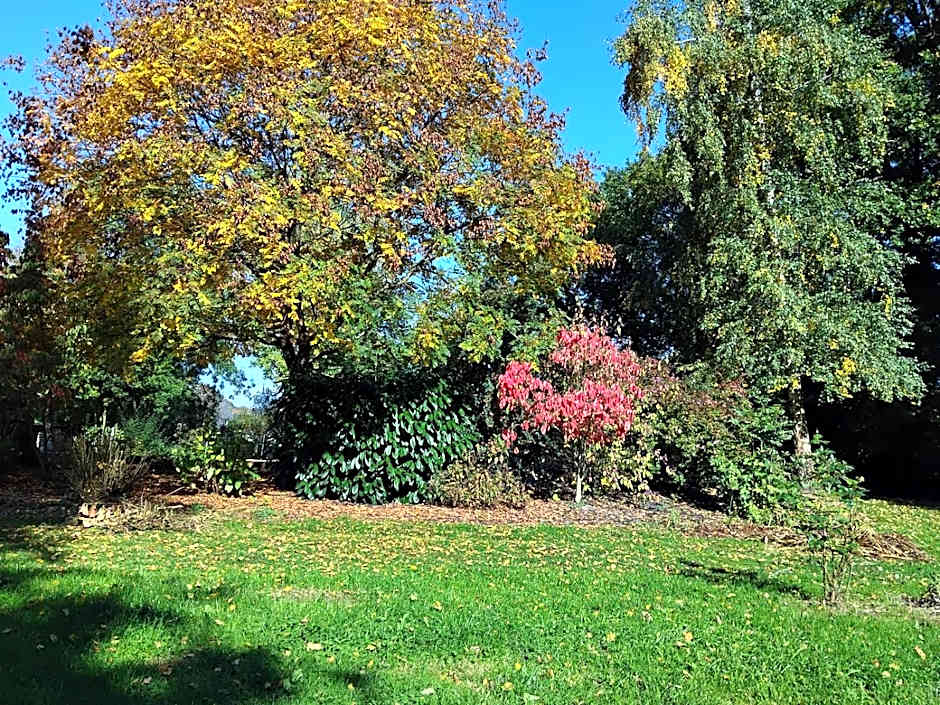 Logis Hôtel De France- Restaurant GRILL