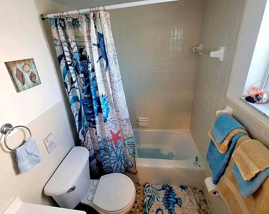 Searenity, Waterside studio in the heart of Treasure Island, walk to beach