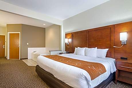 1 King Bed Suite Nonsmoking