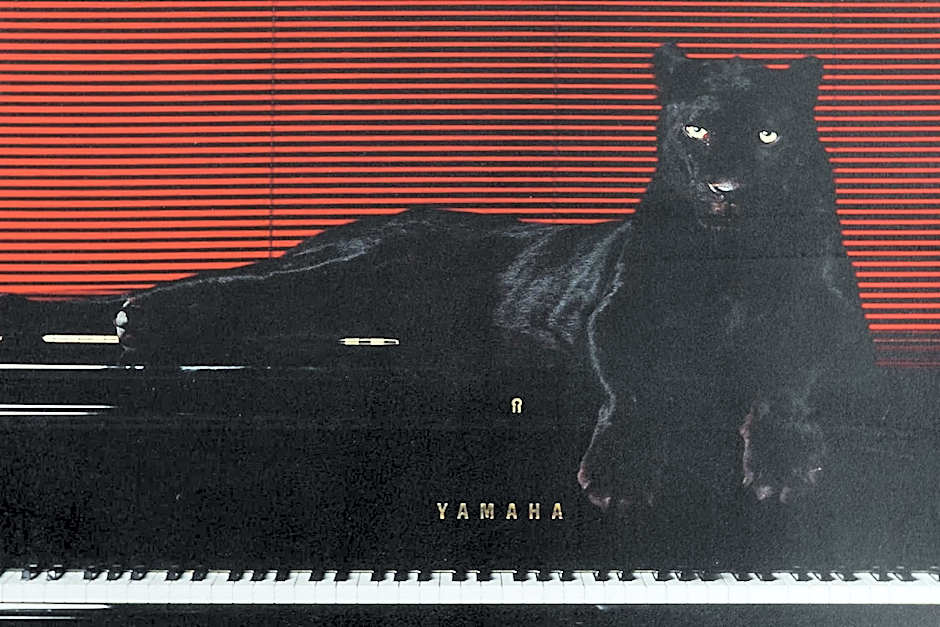 Luxury Condo w/Fascinating View&Free Parking