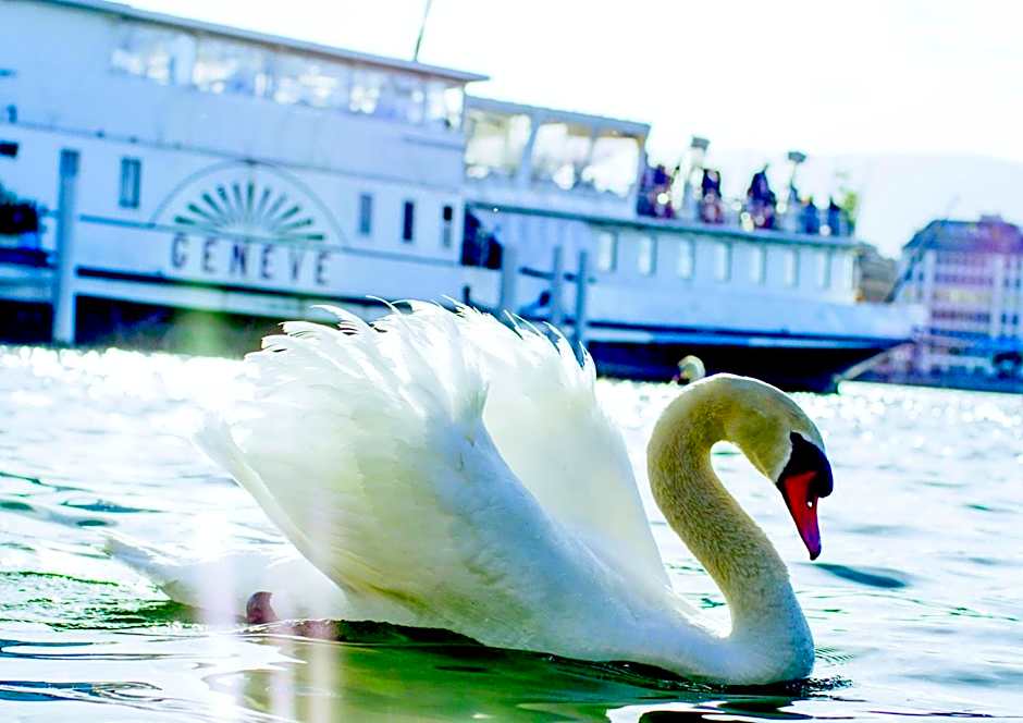 Hotel Cristal Design