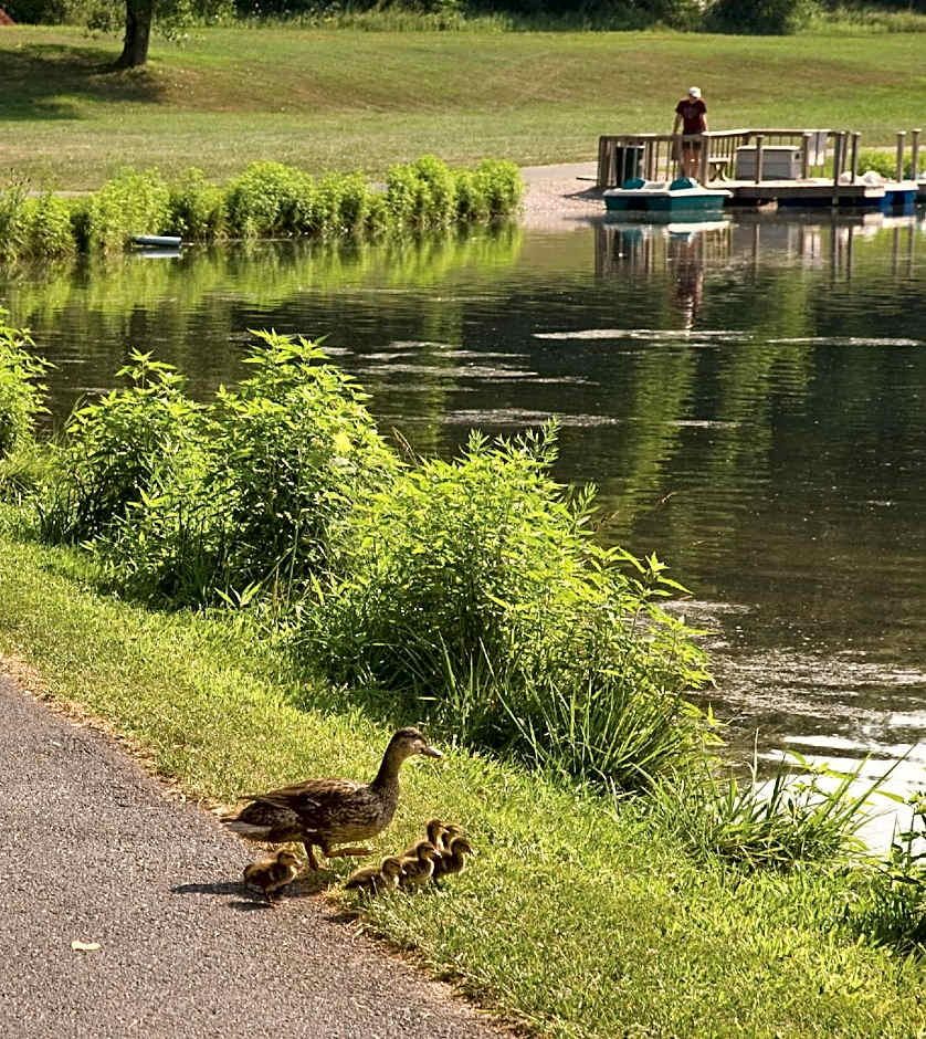 Club Wyndham Tamarack