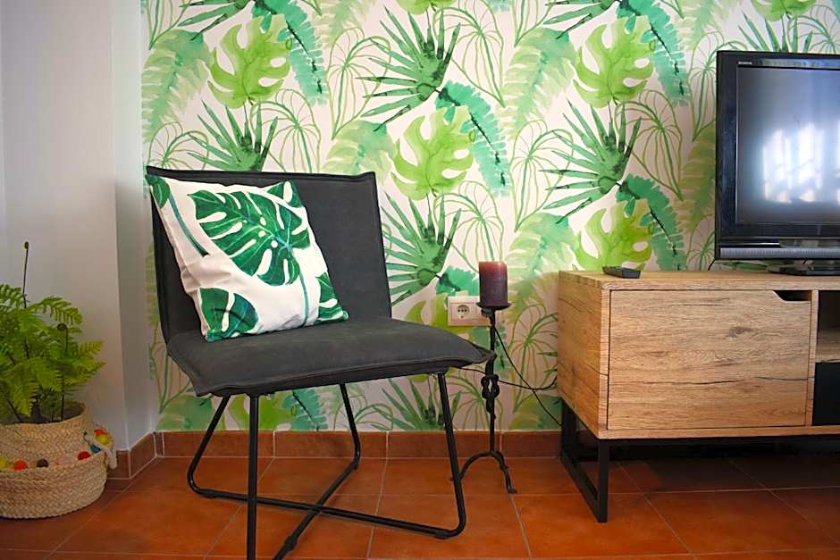 OLIVO 15E - Terraza y vistas