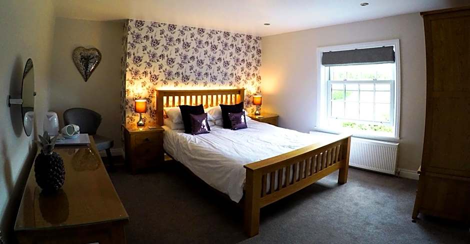 Photo 1 of 7 of Superior 1 King Bed