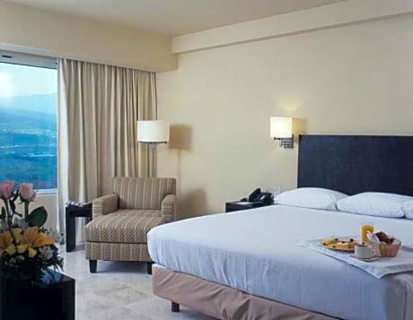 Superior Room, 1 King