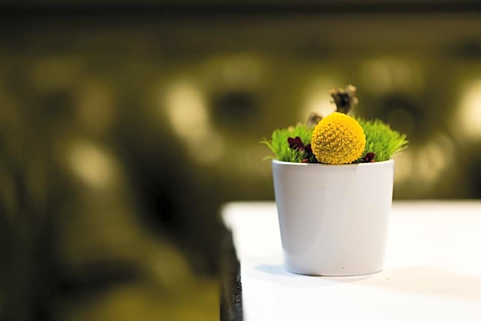 La Cour des Consuls Hotel and Spa Toulouse - MGallery