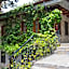 Watermill Hotel