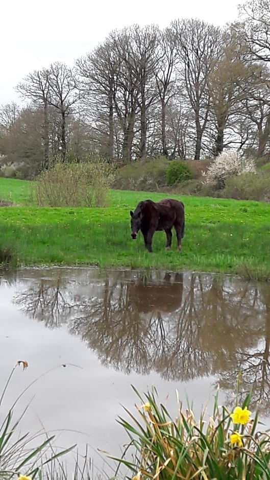 Chambres d'hôtes du Moulin de la Chaussee
