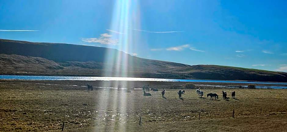 Fellskotshestar Guesthouse