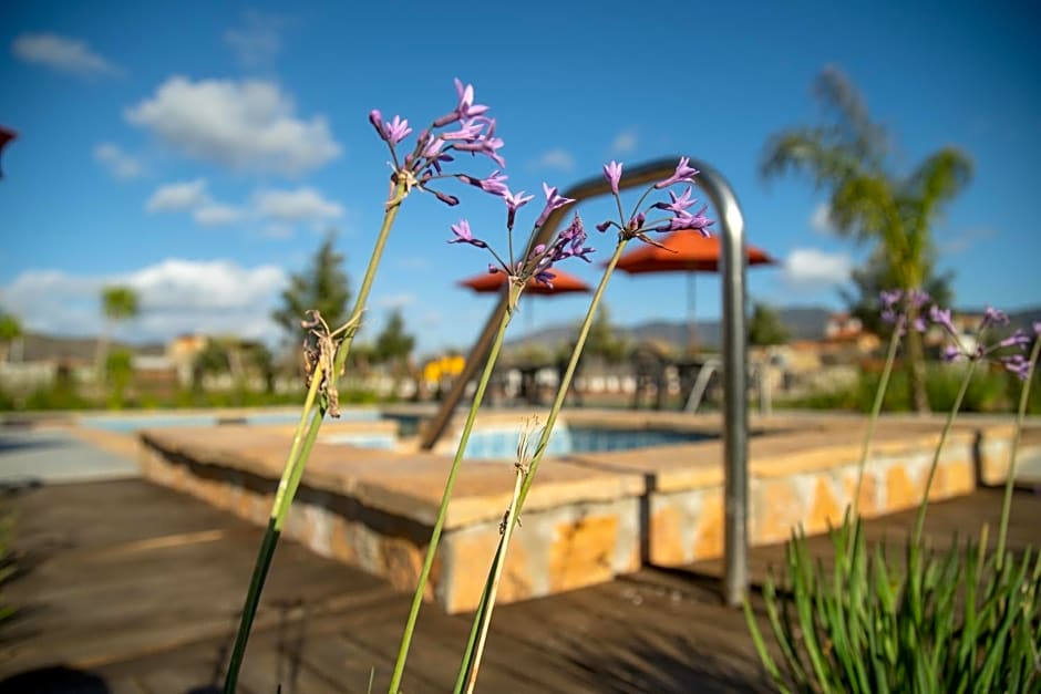 Hacienda Los Olivos, Valle de Guadalupe