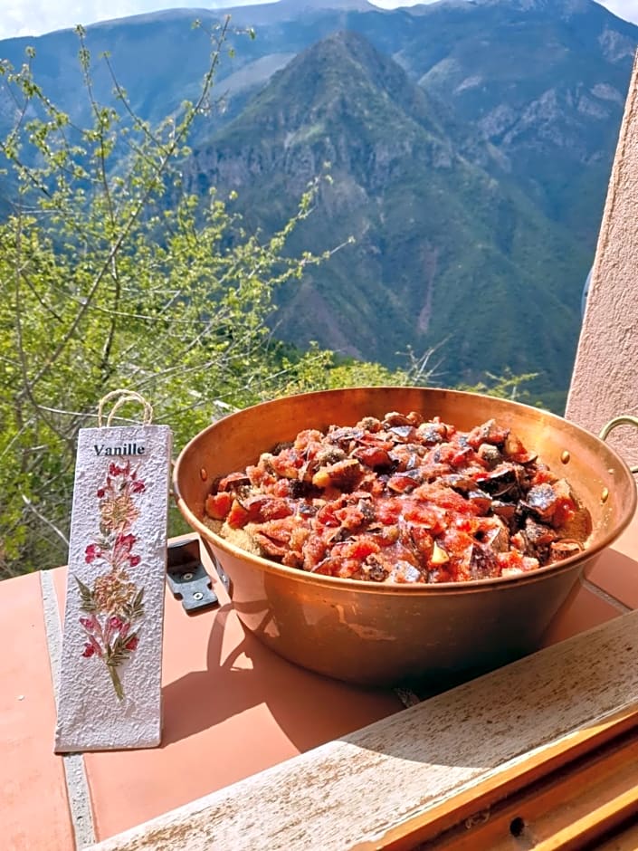 Stella Alpina