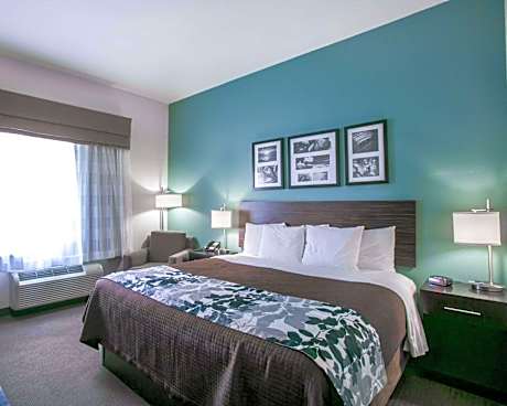 1 King Bed Nonsmoking