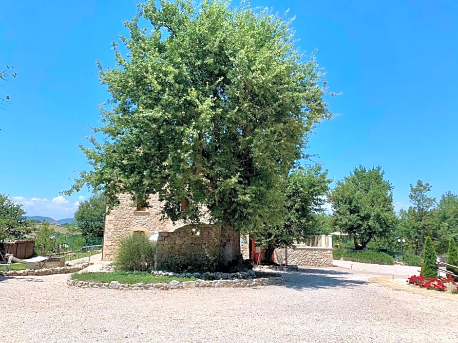 La quercia B&B