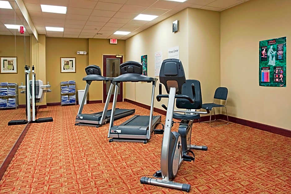 Holiday Inn Express Hotel & Suites Amarillo South By IHG