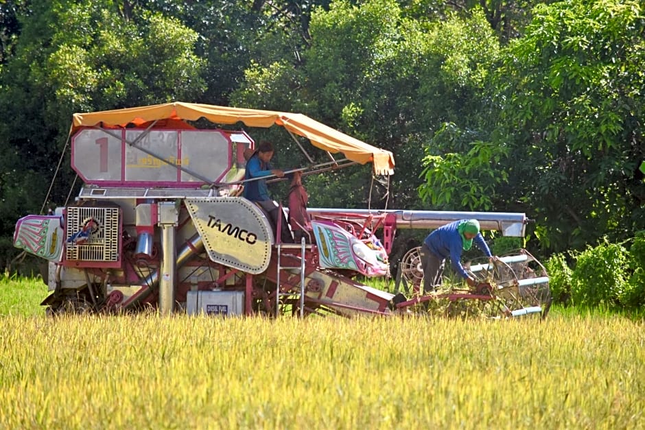 Tung Tong Homestay & Camping