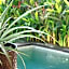 Spaces Bali Unique Boutique Hotel