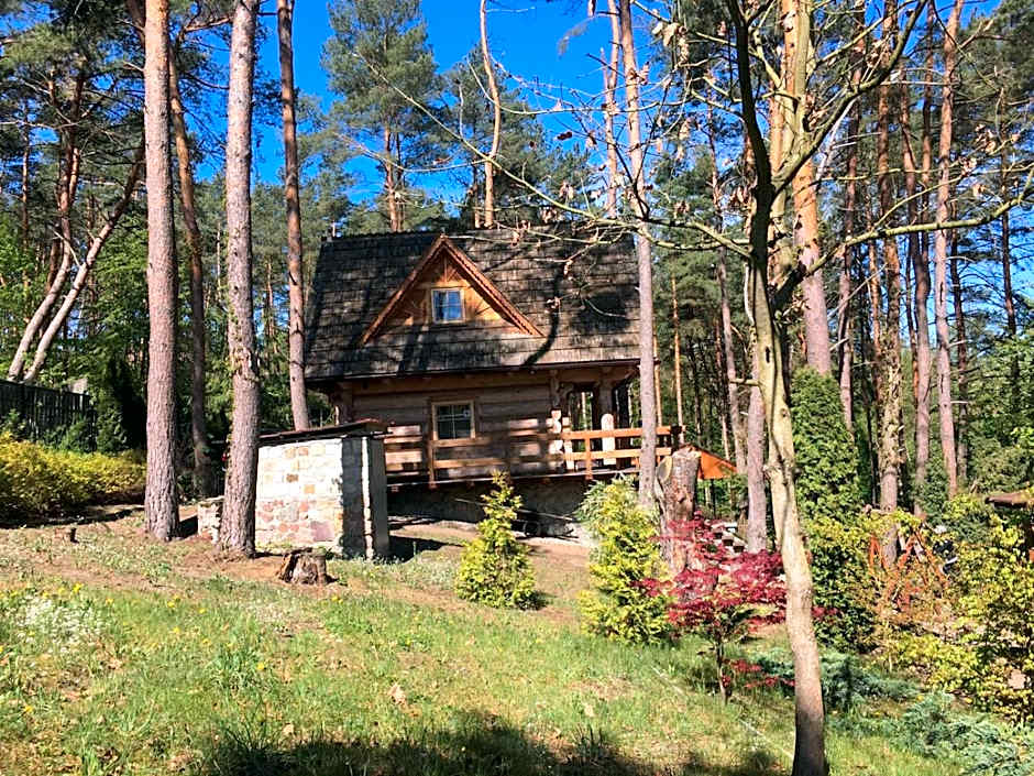 Domek z bali Tryszczyn nad Brdą