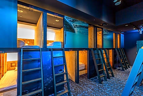 Bunk Bed in Mixed Dormitory Room