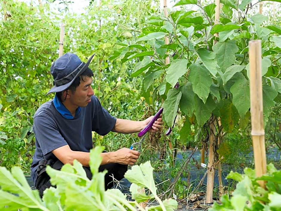 NIPPONIA 田原本 マルト醤油