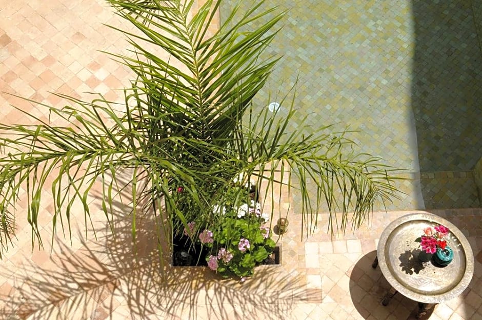 Riad Les Hibiscus