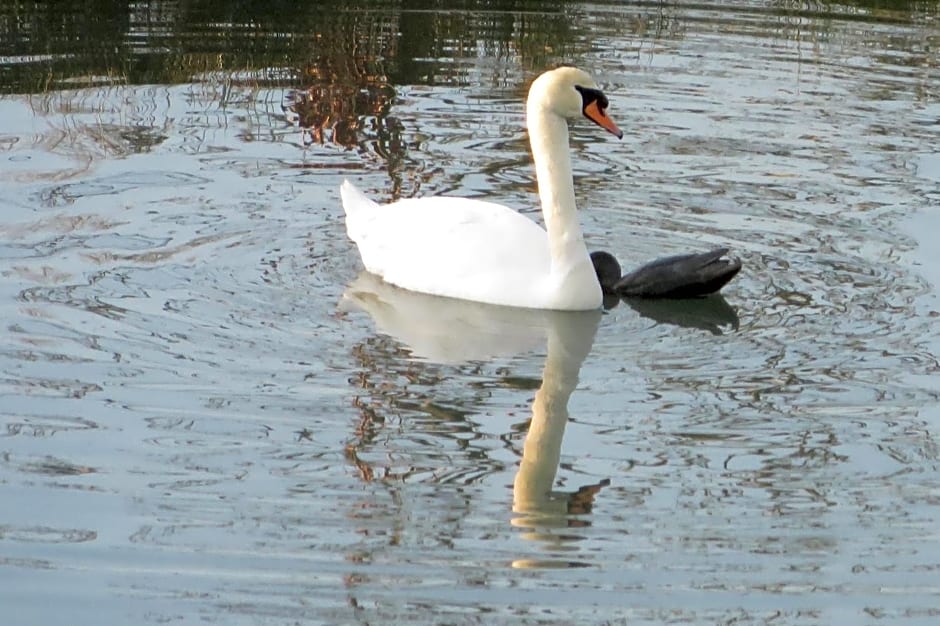 Château de La Sémondière