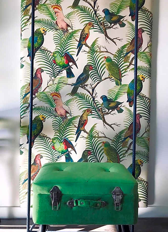 Eleventh Floor Suites