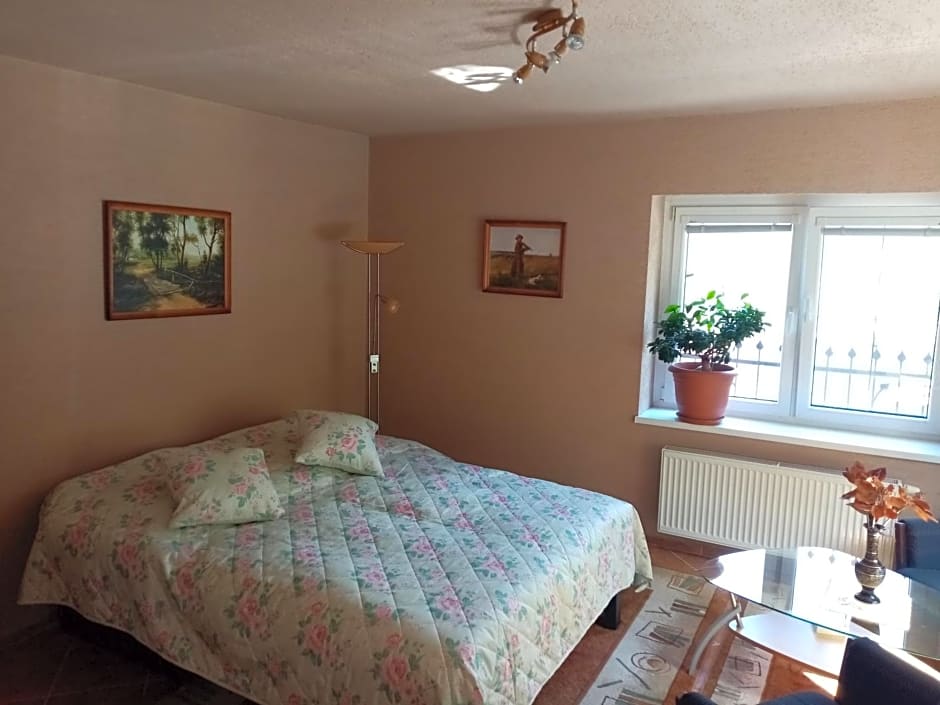 Apartmán Starý Mlyn