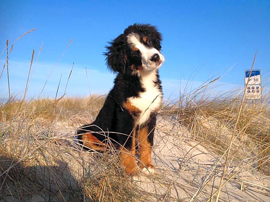 Hotel Residenz Rennhack