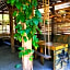 Harmony Glamping Boutique Hotel and Yoga