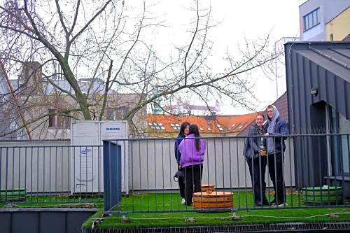 Wild Elephants Hostel