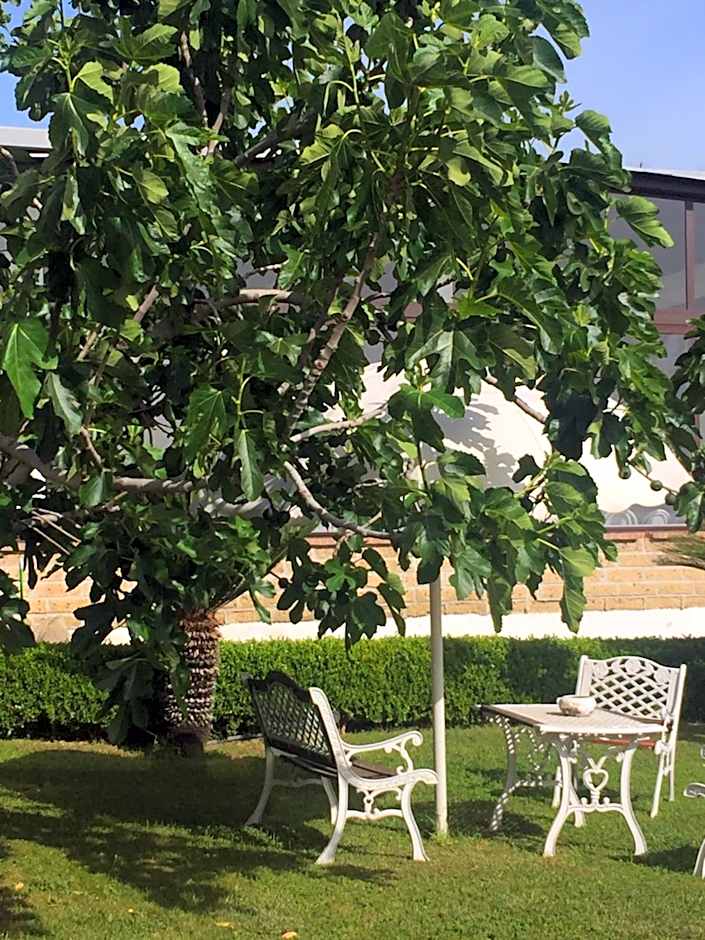 Zia Bi Bed and Breakfast