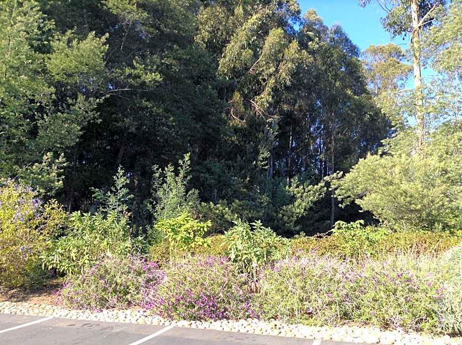 The Inn at Pasatiempo