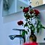 bed & breakfast Outlet Hotel