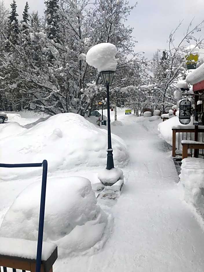 Billie's Backpackers Hostel