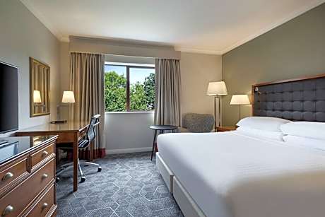 Deluxe Room, Guest room, 1 King