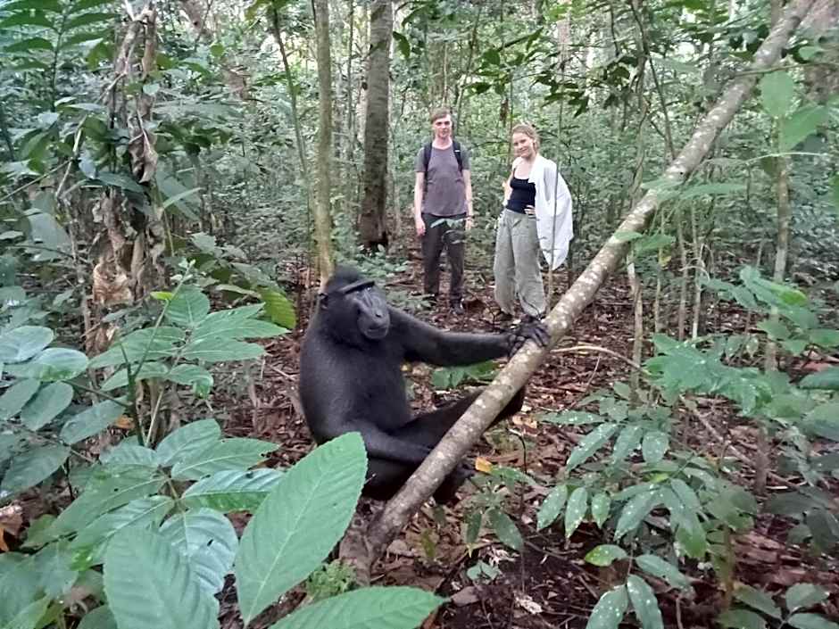 Tangkoko Ranger Homestay